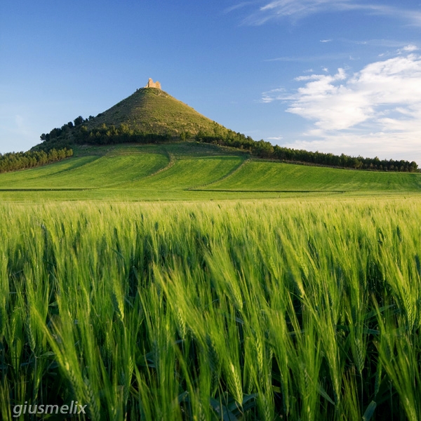 Las Plassas (40D_6348_1rid).jpg